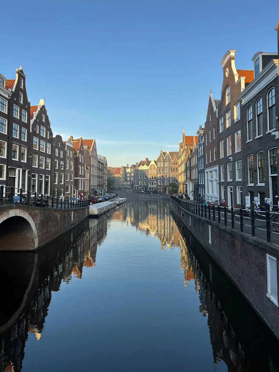 PDRN science, slide 4 of 15