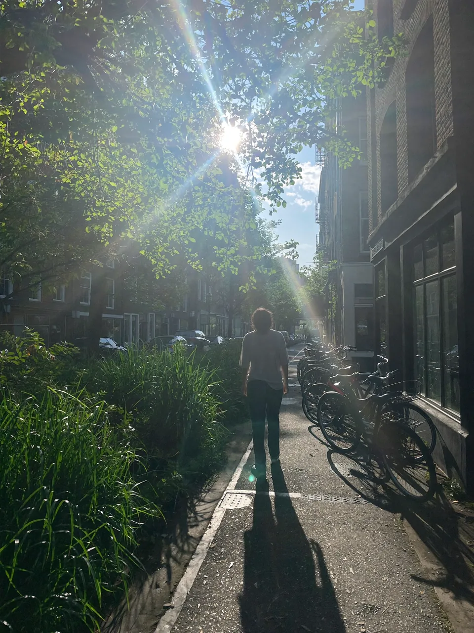 PDRN science, slide 6 of 15