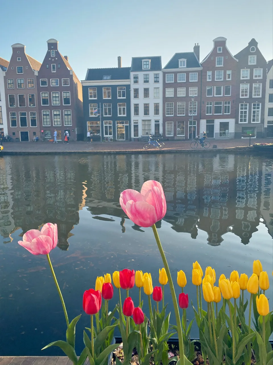 PDRN science, slide 8 of 15