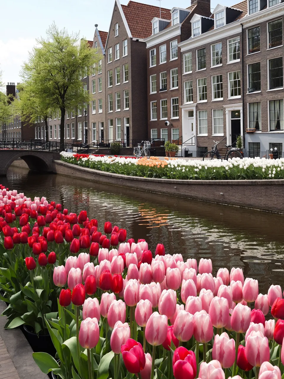 PDRN science, slide 9 of 15