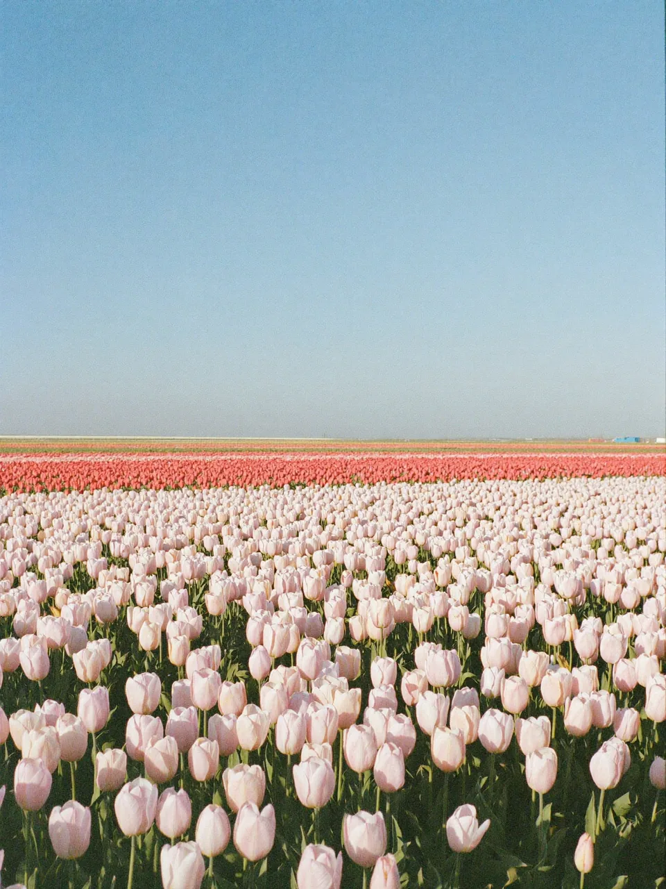 Brand story — slide 1 of 11