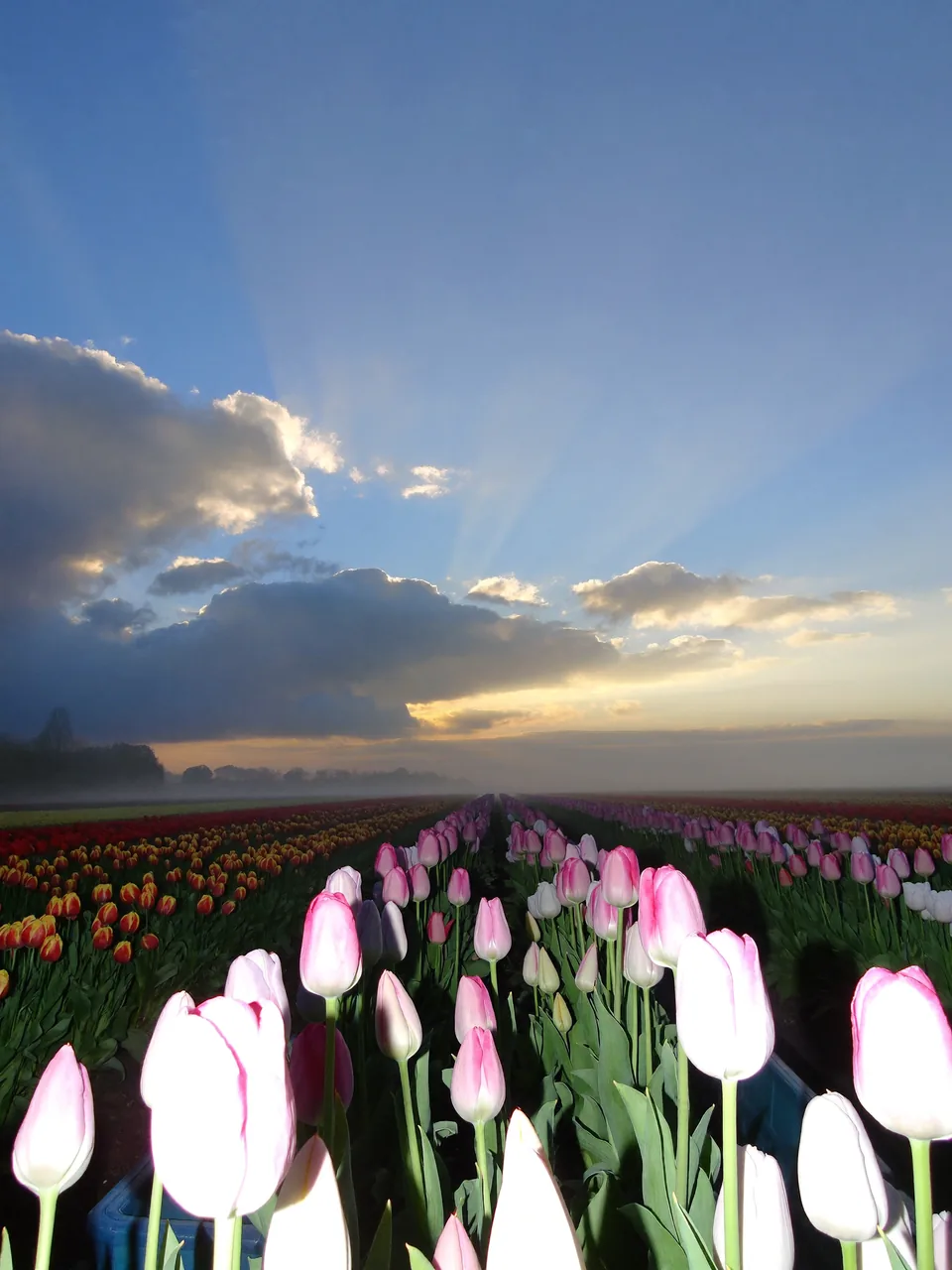 Brand story — slide 2 of 11