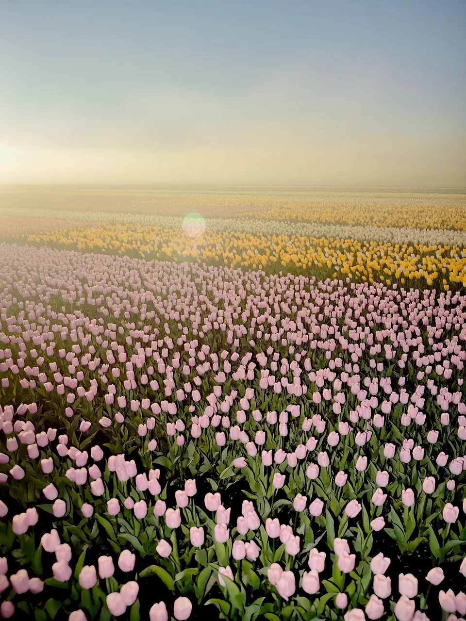 Brand story — slide 3 of 11